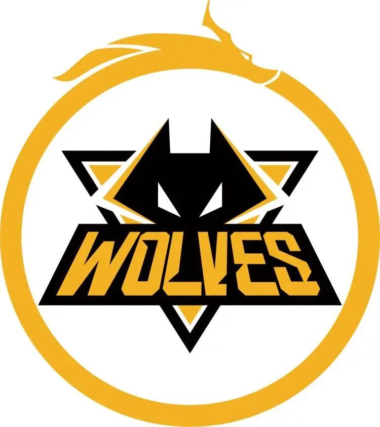 LPL第八周最佳阵容：Ale、Jiejie、Scout、Hope、Ming